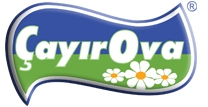 Çayırova Süt